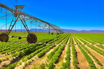 Farm Crops With Sprinklers and Mountain Silhouette Background in Southern California 