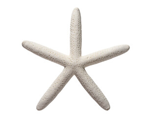 Sea Starfish. Ocean animals mollusk. Dried Star fish on white isolated background. Close-up top view object. Macro High resolution photo. Concept for travel agency, billboard or post card.