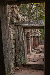 Fototapeta premium Ta Prohm temple
