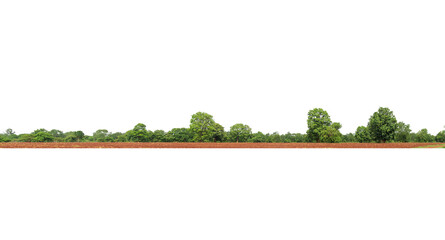   Panorama View of a High definition Treeline isolated on a white background.