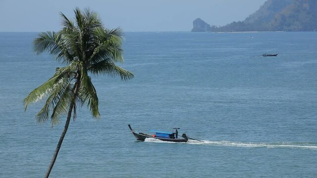 Longtail boat in Krabi, Thailand passes by a palm tree at Ao Nang beach with island sin the backround
