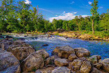 A forest landscape of a bubbly river with rock boulders in the foreground.