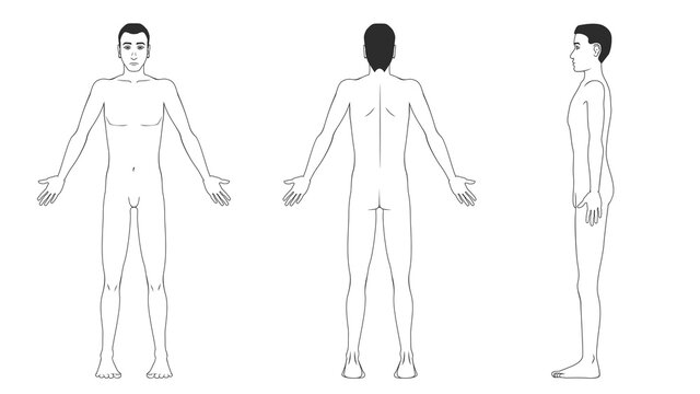 Naked man in front, back and side on a white background