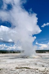 geyser in Yellowstone national park