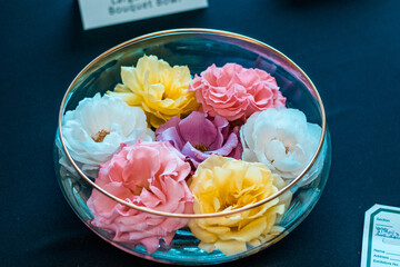 Roses on display in glass bowl at a rose show