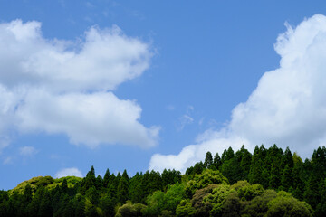 自然の美しい山と空の風景