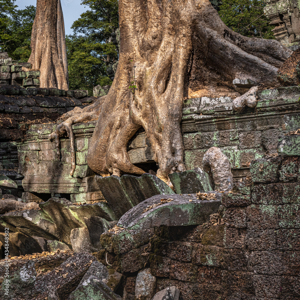 Sticker overgrown temple