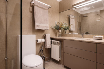 Bathroom and toilet simple interior design, brown colours