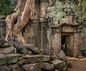 Naklejka premium Overgrown temple