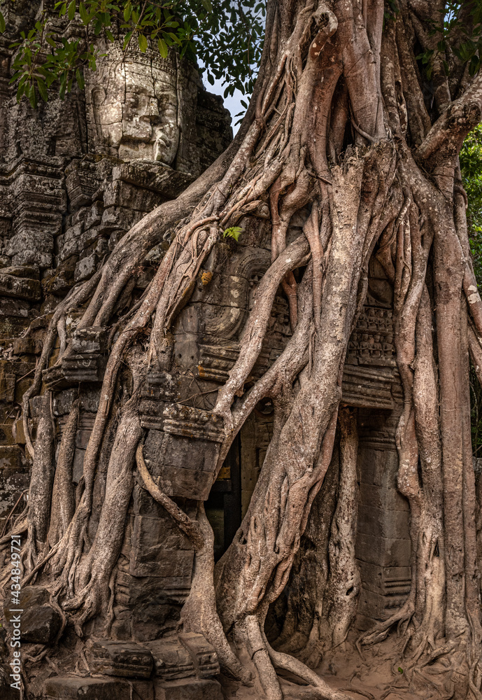 Sticker overgrown temple