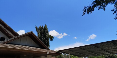 Scenic of Light and shadow in the morning 