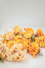 Yellow dried rose heads against white background with copy space