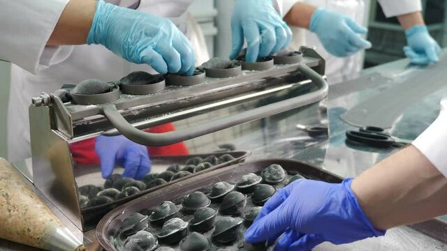 Modern private foodstuff manufacturing. dumplings forming equipment at work. Process of making ravioli, pelmeni. tortellini. traditional national cuisine pelmeni. 4 k video