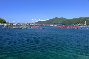柏島　養殖生簀　初夏　（幡多郡　大月町）