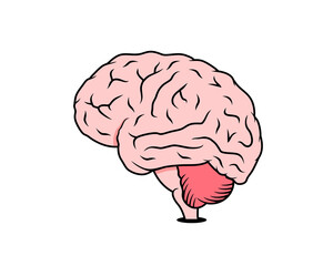 Human brain vector illustration logo