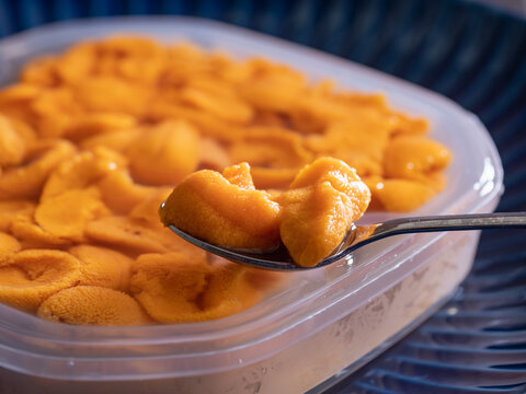 新鮮な雲丹のクローズアップ。プラスチック容器に入った海産物のウニ。