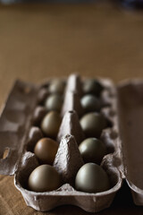 Hunting pheasant eggs in an ecological paper tray. Poultry farming, trending hard shadows in sunlight. . High quality photo