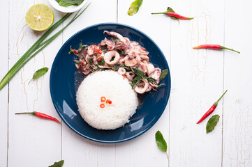 Rice Served with Stir Fried Holy Basil with Squid, Thai Food