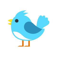 bird vector, flying birds in the sky, animal in the forest