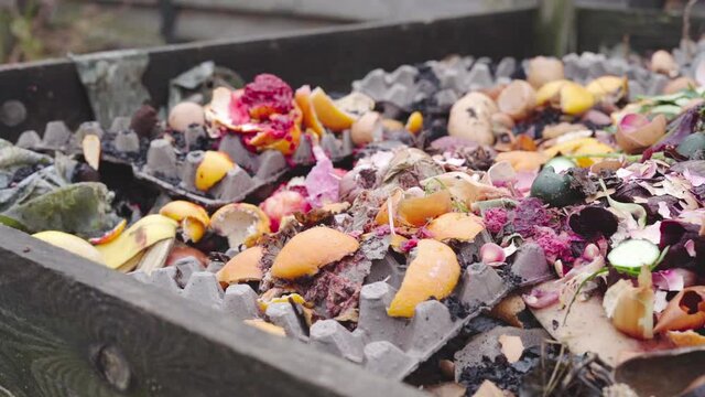 A close-up of the camera pan over the food waste compost heap. Organic fertilizer creation process