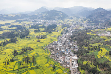 Aerial view of rapeseed flowers in Luoping, Yunnan - China