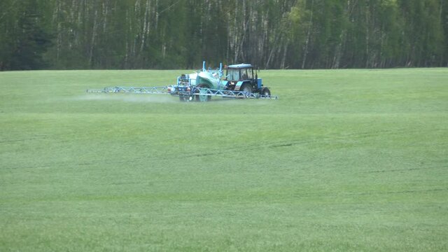 A farmer sprays a field of spring wheat with a tractor and a mamut topline sprayer. A farmer spraying on the spring wheat field with  tractor and a mamut topline sprayer.
