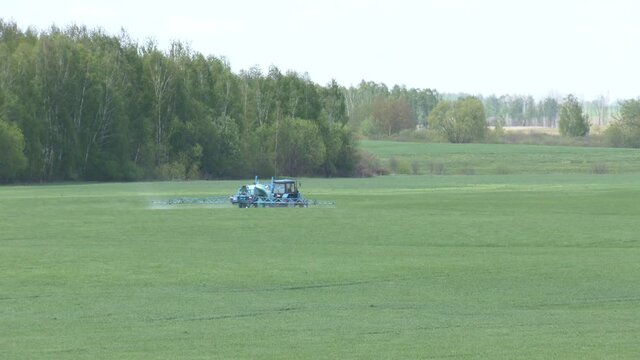 A farmer sprays a field of spring wheat with a tractor and a mamut topline sprayer. A farmer spraying on the spring wheat field with  tractor and a mamut topline sprayer.
