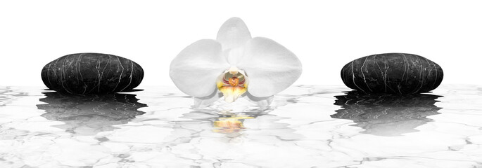 Orchid and marble stones reflective on water
