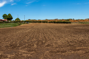 plowed field to be sown in southern Chile