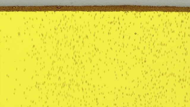 Nahaufnahme Bier in ein Glas mit Aufsteigende Blasen