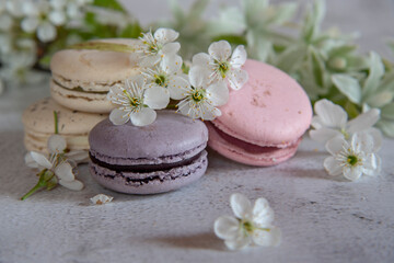 Fototapeta na wymiar Several colorful macaroon cakes decorated with cherry blossoms on a gray background.