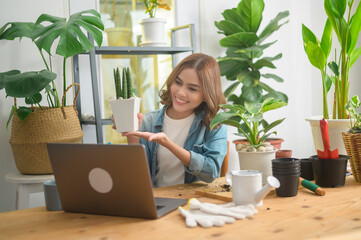 Young woman entrepreneur working with laptop presents houseplants during online live stream at...