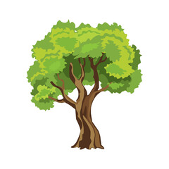 Cartoon deciduous tree, flat design, vector illustration, environment concept.