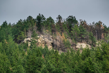 Fototapeta na wymiar mountain cliff over green pine forest during cloudy day, Kislovodsk city, caucasus mountains, Russia