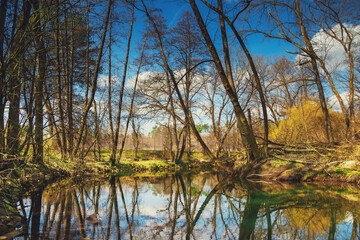 The Schwarzach Gorge is a popular hiking destination near Nuernberg in Middle Franconia (Bavaria/Germany). The path leads from Feucht to Schwarzenbruck. The sandstone is typical for this ravine.