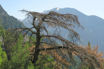 Kreta: Wandern in der Samaria-Schlucht