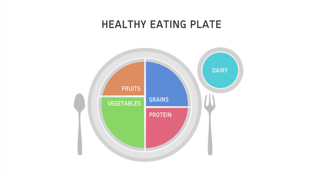 Healthy Eating Plate or The Nutrition Source on White Background