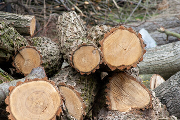 Pile of wood logs. Wooden energy industry concept. Stacked wood picture