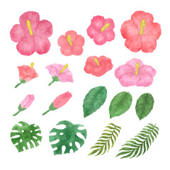 水彩ハイビスカスとボタニカルリーフのトロピカルセット