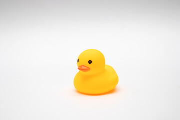 Yellow Rubber Duck on white background