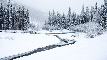 Frozen River and Forest Covered with Thick Snow