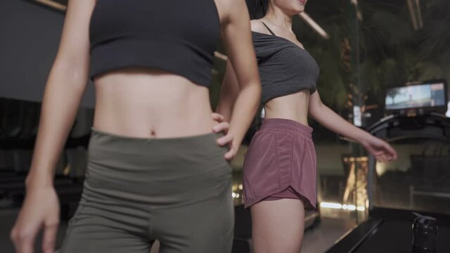 Two confident slim cheerful female friends enjoy posing in front of gym mirror after work out together, gym motivation, female body shape or health care, friendship or camaraderie at the gym