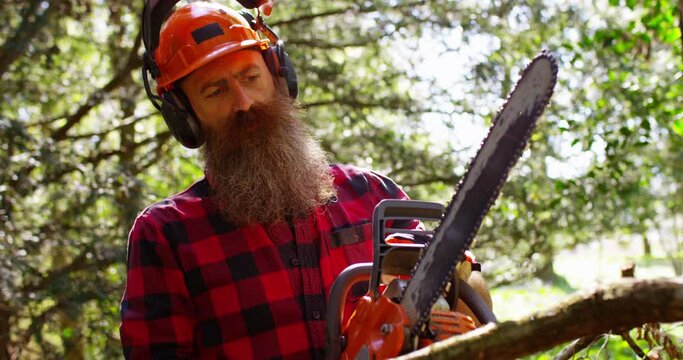 Lumberjack logger worker in protective gear cutting firewood timber tree in forest with chainsaw