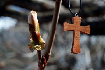 Fototapeta premium Christian cross and bud symbol of life that overcomes obstacles.