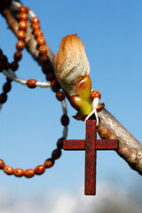 Christian cross and bud symbol of life that overcomes obstacles.