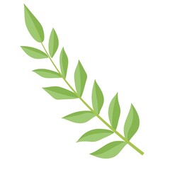 Obraz premium Simple doodle of a plant. Leaf from a tree. Vector illustration isolated on white background. hand-drawn.