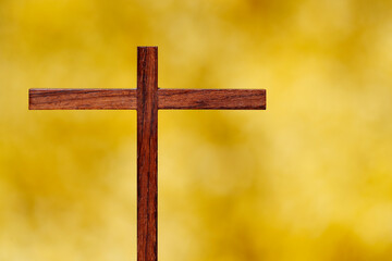 Broom in bloom in spring. Christian cross on yellow background.