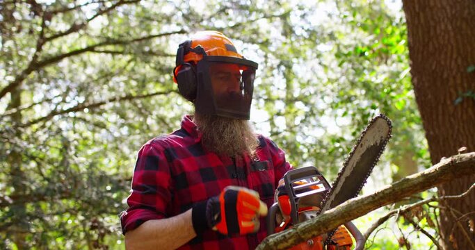 Lumberjack logger worker in protective gear cutting firewood timber tree in forest with chainsaw
