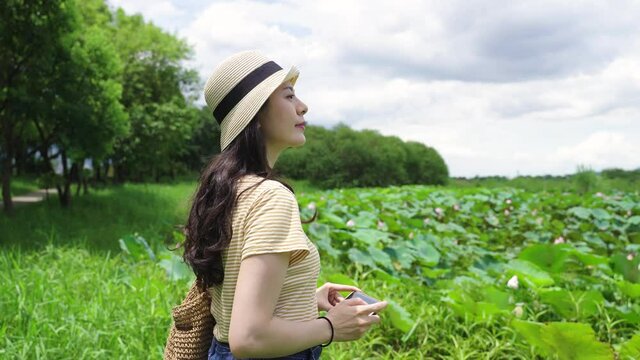 portrait asian female tourist wearing a hat is taking a picture of the lush lotus field with her phone in nature at dapo lake taitung, taiwan.