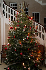 Fototapeta na wymiar Christmas tree with decorations and lights. Geneva. Switzerland.